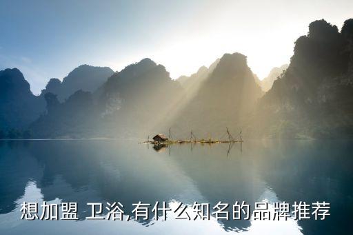 想加盟 衛(wèi)浴,有什么知名的品牌推薦
