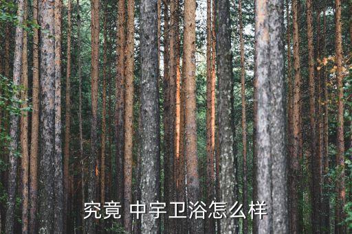 中宇衛(wèi)浴品牌