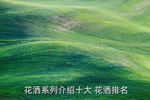  花灑系列介紹十大 花灑排名