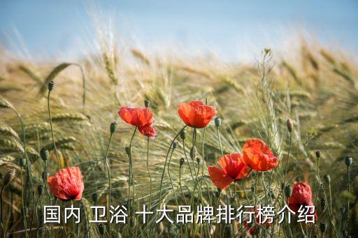國內(nèi) 衛(wèi)浴 十大品牌排行榜介紹