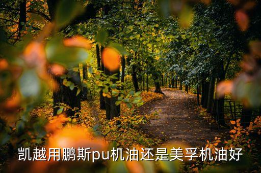凱越用鵬斯pu機(jī)油還是美孚機(jī)油好