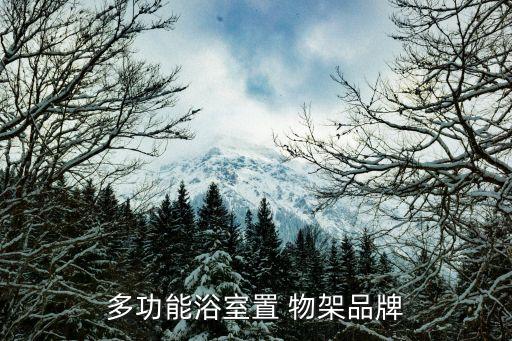 上海衛(wèi)浴置物架廠家電話