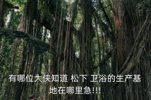 有哪位大俠知道 松下 衛(wèi)浴的生產(chǎn)基地在哪里急!!!