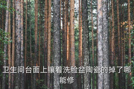 衛(wèi)生間臺面上鑲著洗臉盆陶瓷的掉了哪能修