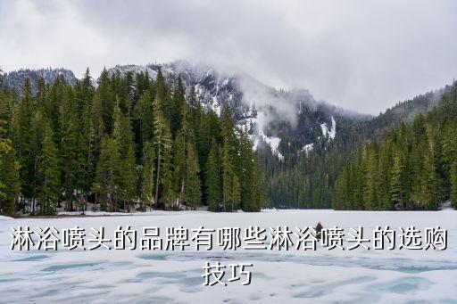 國產(chǎn)衛(wèi)浴花灑品牌推薦歐式
