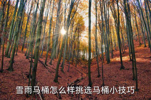 雪雨衛(wèi)浴是不是品牌的產(chǎn)品,帝都衛(wèi)浴是不是大品牌