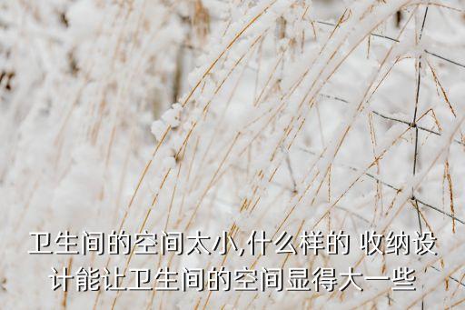 衛(wèi)生間的空間太小,什么樣的 收納設(shè)計(jì)能讓衛(wèi)生間的空間顯得大一些