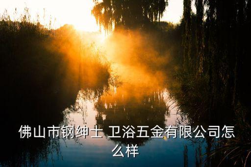 佛山市鋼紳士 衛(wèi)浴五金有限公司怎么樣