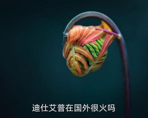 迪仕艾普在國(guó)外很火嗎