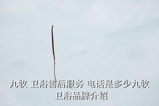 九牧 衛(wèi)浴售后服務(wù) 電話是多少九牧 衛(wèi)浴品牌介紹