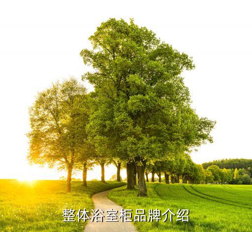 整體浴室柜品牌介紹
