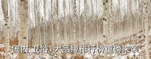 老式衛(wèi)浴經(jīng)銷商有哪些品牌