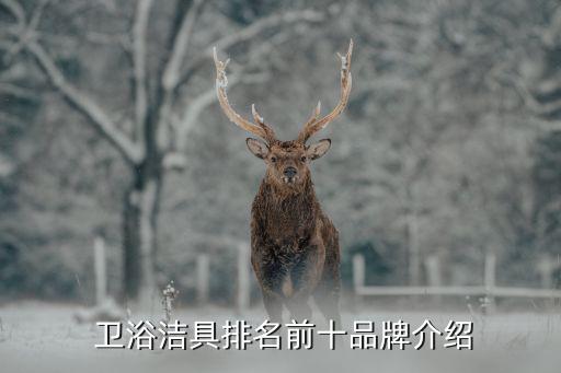  衛(wèi)浴潔具排名前十品牌介紹