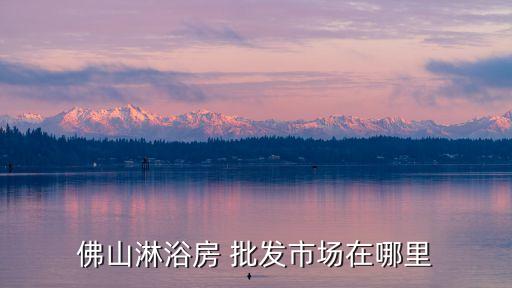 佛山淋浴房 批發(fā)市場在哪里