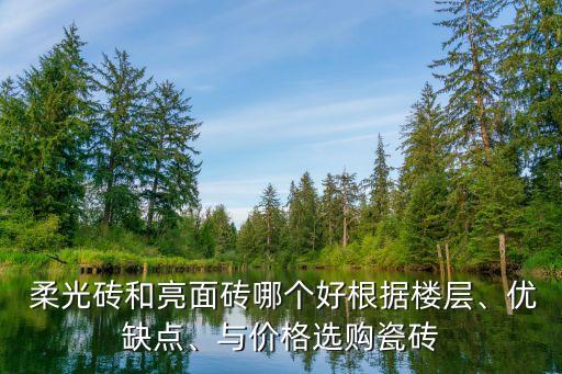  柔光磚和亮面磚哪個好根據(jù)樓層、優(yōu)缺點、與價格選購瓷磚