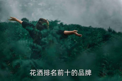 花灑排名前十的品牌