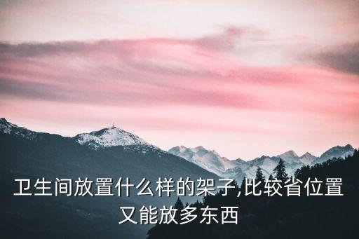 衛(wèi)浴壁龕收納方法圖片