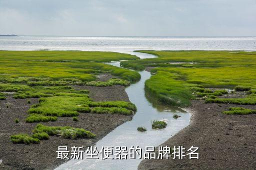 蒙娜麗莎的衛(wèi)浴是幾線品牌