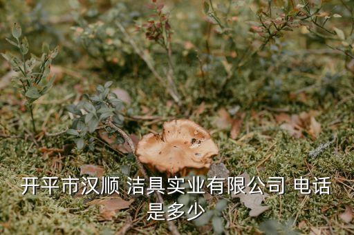 開平市漢順 潔具實業(yè)有限公司 電話是多少