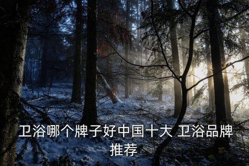  衛(wèi)浴哪個牌子好中國十大 衛(wèi)浴品牌推薦