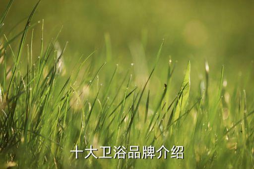 十大衛(wèi)浴品牌介紹