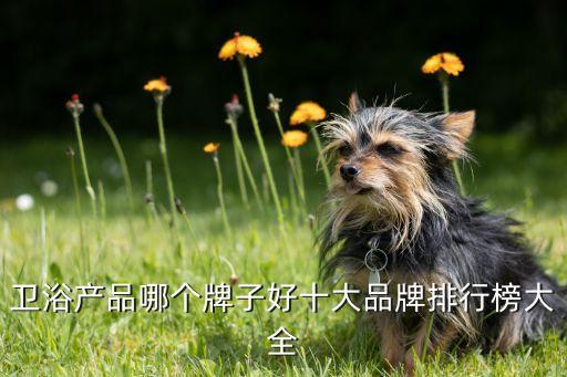 浪迪衛(wèi)浴品牌推薦好物分享