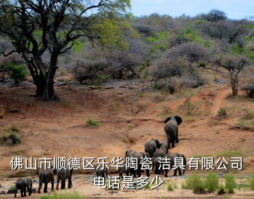 佛山市順德區(qū)樂華陶瓷 潔具有限公司 電話是多少