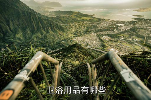  衛(wèi)浴用品有哪些