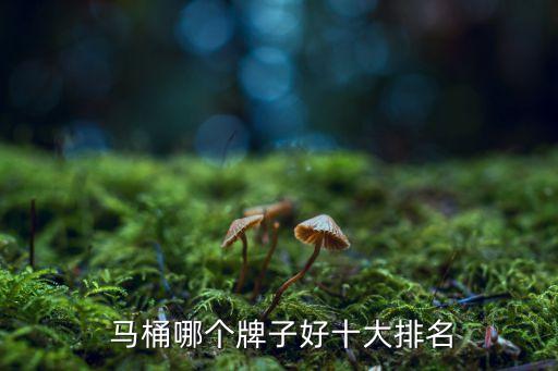 馬桶衛(wèi)浴店圖片高清,馬桶維修圖片大全