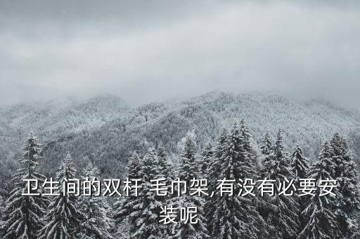 衛(wèi)生間的雙桿 毛巾架,有沒有必要安裝呢