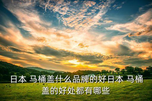 日本 馬桶蓋什么品牌的好日本 馬桶蓋的好處都有哪些