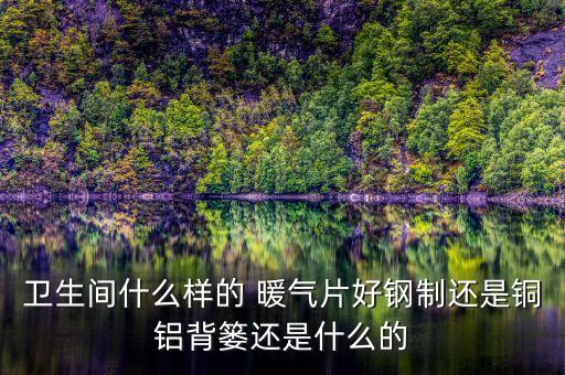 衛(wèi)生間什么樣的 暖氣片好鋼制還是銅鋁背簍還是什么的