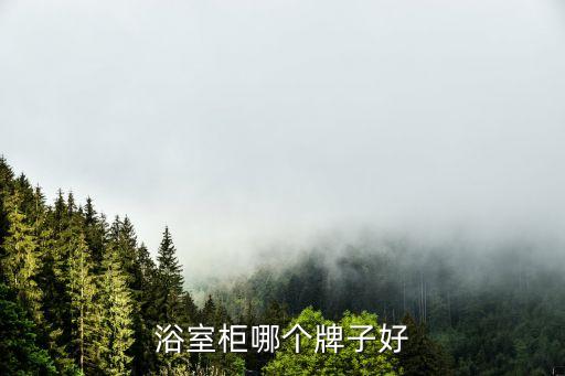 新加坡衛(wèi)浴柜推薦哪家品牌