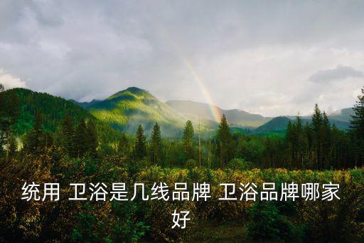 統(tǒng)用 衛(wèi)浴是幾線品牌 衛(wèi)浴品牌哪家好