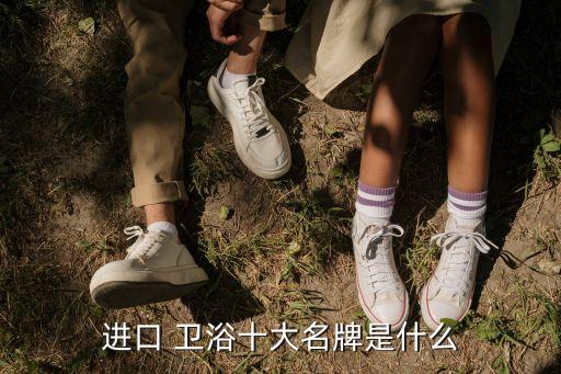進(jìn)口 衛(wèi)浴十大名牌是什么