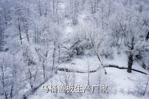 馬桶蓋板生產(chǎn)廠家