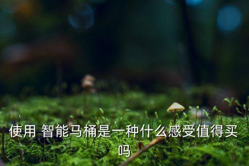使用 智能馬桶是一種什么感受值得買嗎
