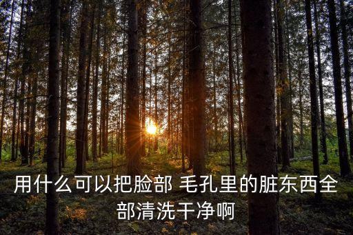 用什么可以把臉部 毛孔里的臟東西全部清洗干凈啊