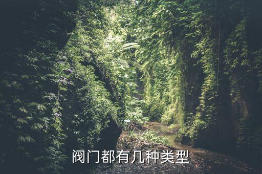衛(wèi)浴大水槽放水閥圖片
