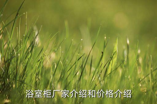 浙江定制衛(wèi)浴招商電話(huà)多少