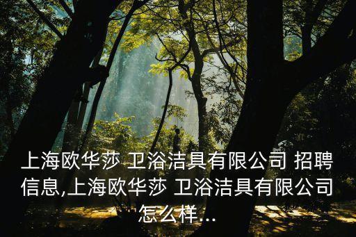 上海歐華莎 衛(wèi)浴潔具有限公司 招聘信息,上海歐華莎 衛(wèi)浴潔具有限公司怎么樣...