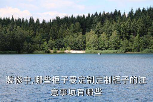 衣柜連接衛(wèi)浴柜效果圖片