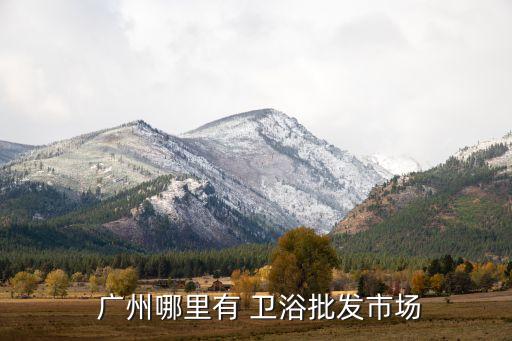  廣州哪里有 衛(wèi)浴批發(fā)市場