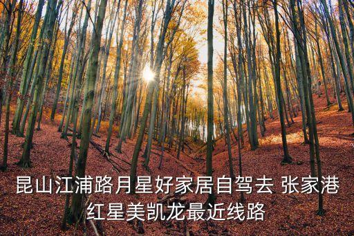 昆山江浦路月星好家居自駕去 張家港紅星美凱龍最近線路
