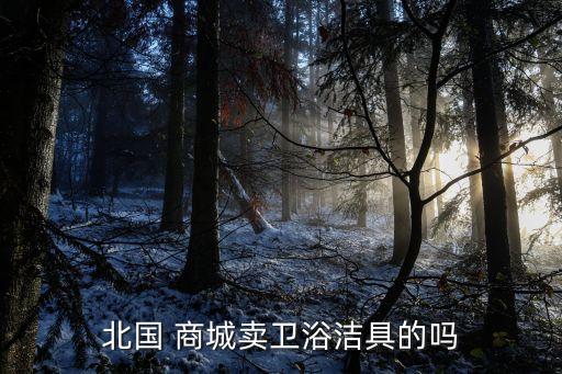 北國 商城賣衛(wèi)浴潔具的嗎