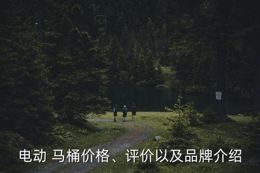 電動(dòng) 馬桶價(jià)格、評價(jià)以及品牌介紹