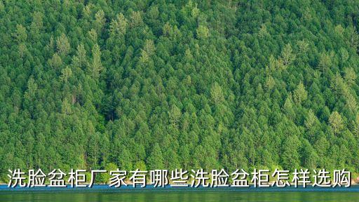 洗臉盆柜廠家有哪些洗臉盆柜怎樣選購(gòu)