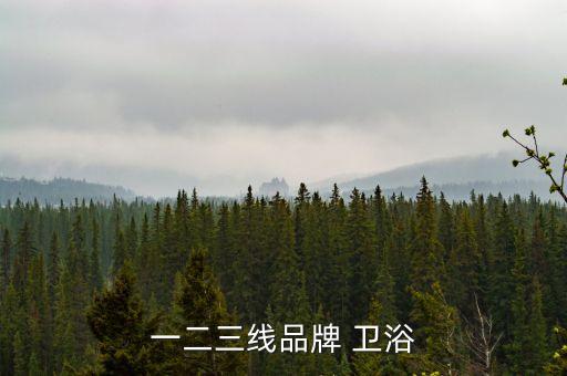衛(wèi)浴國際一線品牌有哪些品牌呢