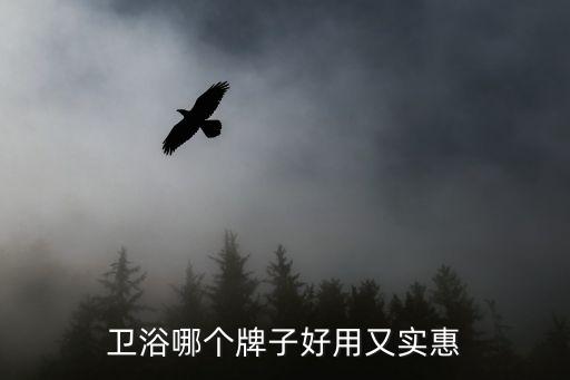 衛(wèi)浴哪個(gè)牌子好用又實(shí)惠