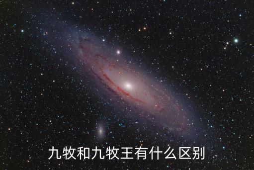 九牧和九牧王有什么區(qū)別